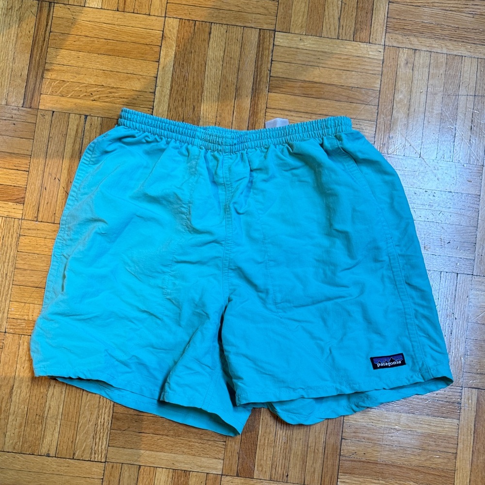 Patagonia Teal shorts